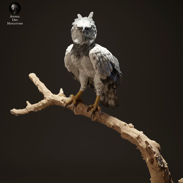 Harpy Eagle 1/43 - Only-Games