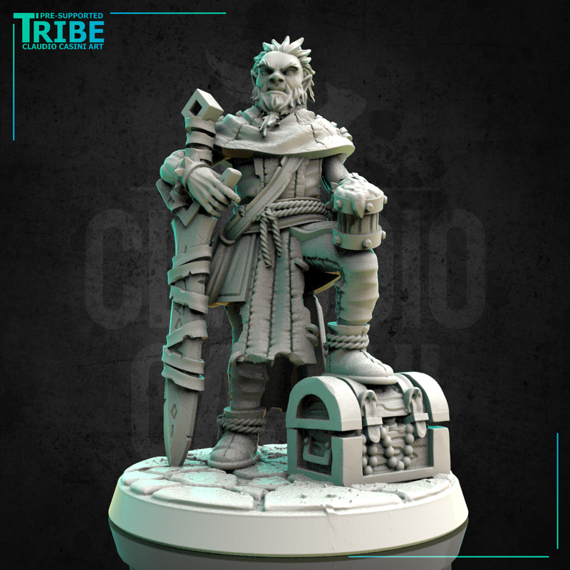 (0207) Male human tiefling firbolg half-orc elf brigand warrior with a sword - Only-Games