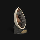 Styracosaurus embryo pre colored - Only-Games