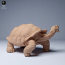 Galapagos Giant Tortoise Eating 1/87 - Only-Games