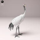 Red-Crowned Crane 1/87 - Only-Games