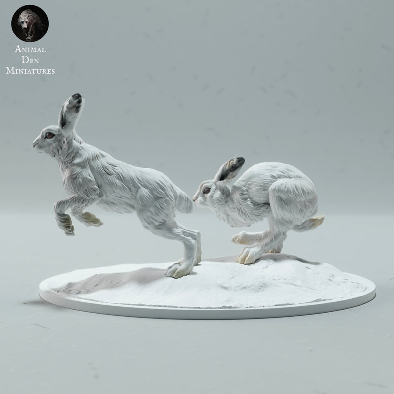 Arctic Hares Run 1/32