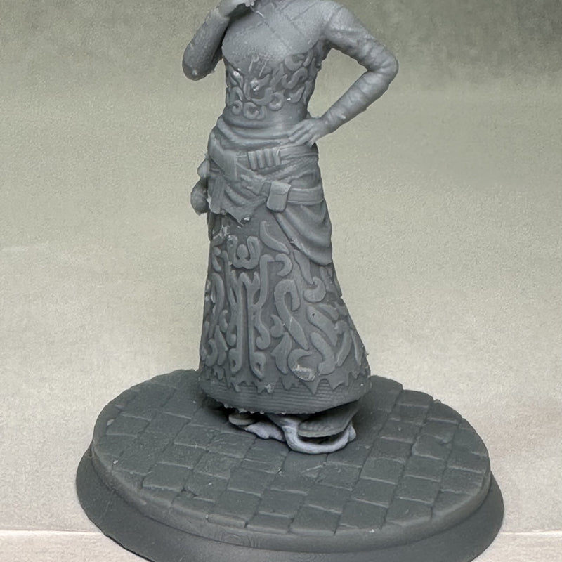 Seer of the Ash Elves - Only-Games