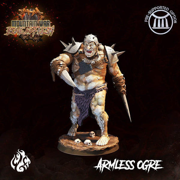 Armless Ogre - Only-Games
