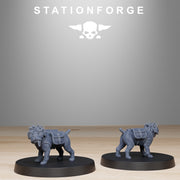 GrimGuard Skulldart Trappers - Only-Games
