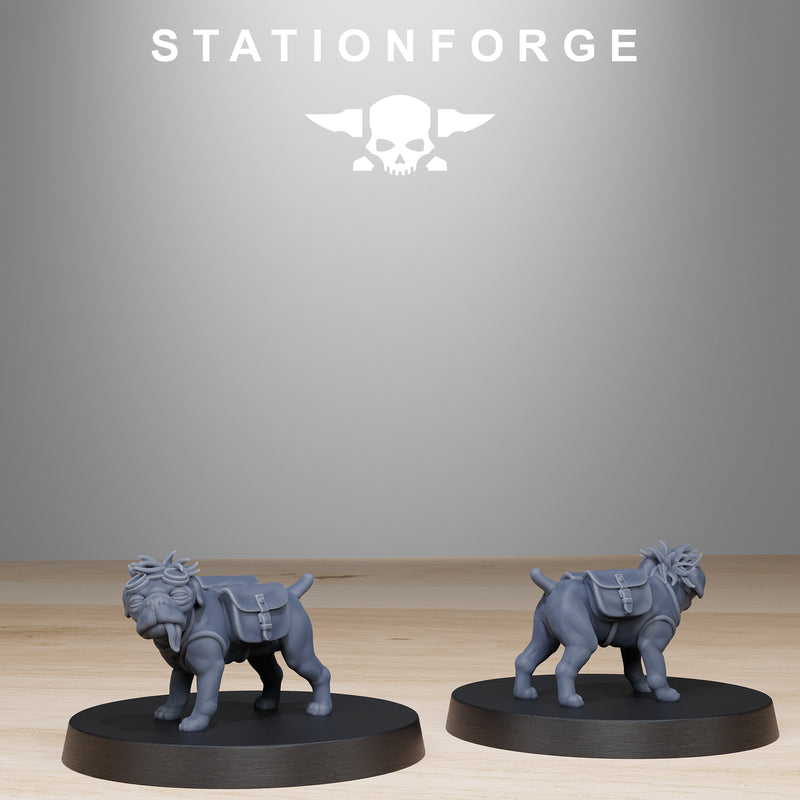 GrimGuard Skulldart Trappers - Only-Games