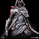 Knight Brigand - Only-Games