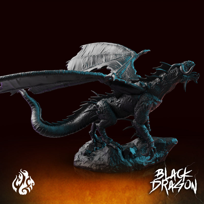 Black Dragon - Only-Games