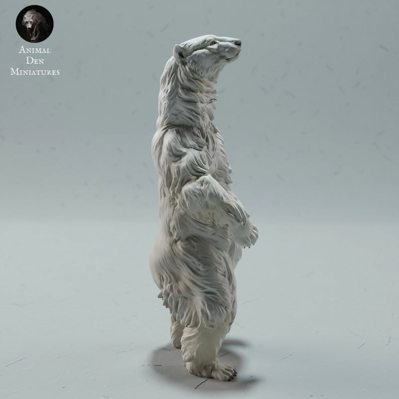 Polar Bear Standing 1/43 - Only-Games