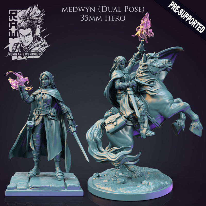 Medwyn The Warlock - Idle and Action Pose - Only-Games