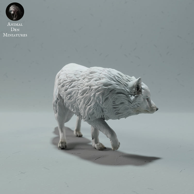 Arctic Fox 1/32 - Only-Games