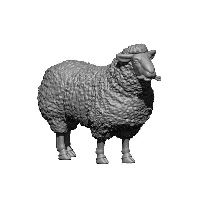 Set of 4 Sheep - Only-Games