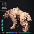 Were Bear - Only-Games