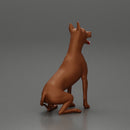 Young woman in a cap and mini jacket sitting and hugging her happy dog - Only-Games