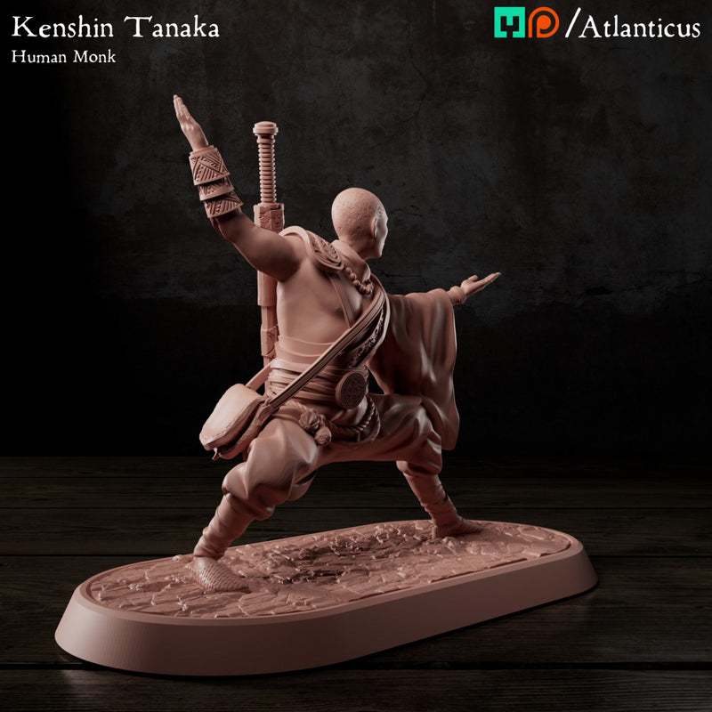 Kenshin Tanaka - Unarmed Backstance - Only-Games