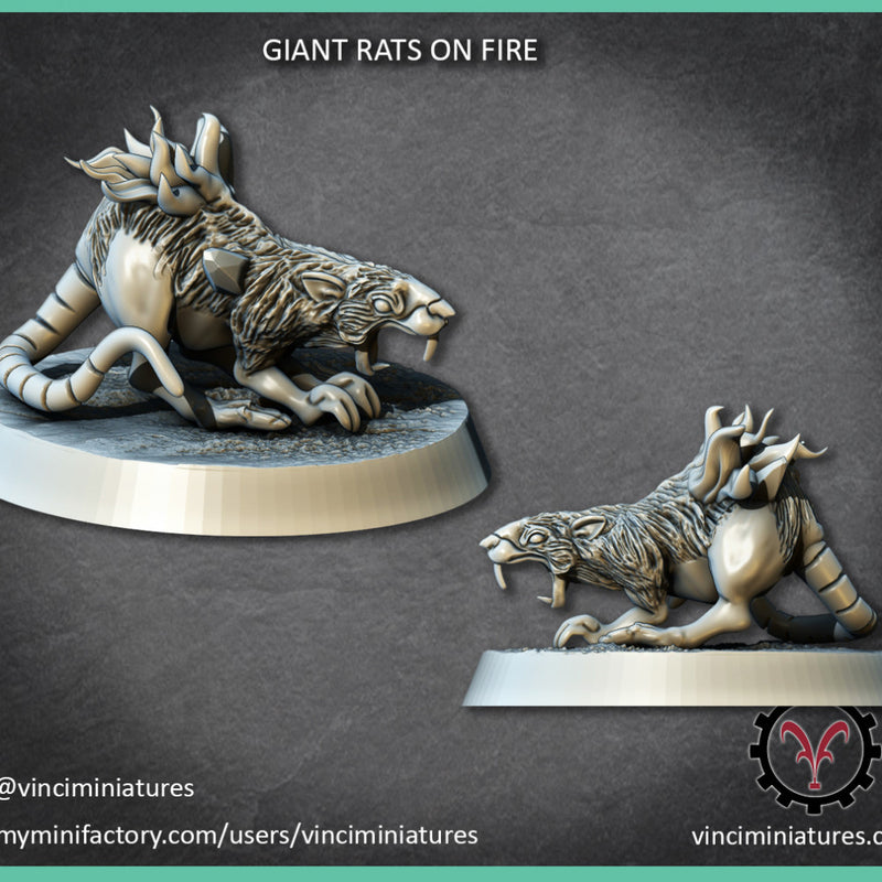 GIANT RATS ON FIRE - Only-Games