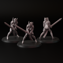 Inquisitress (3 model ) - Only-Games