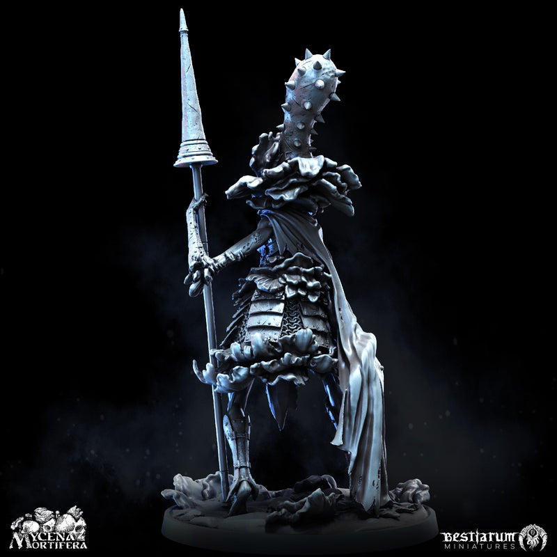 Fungal Knight - Only-Games