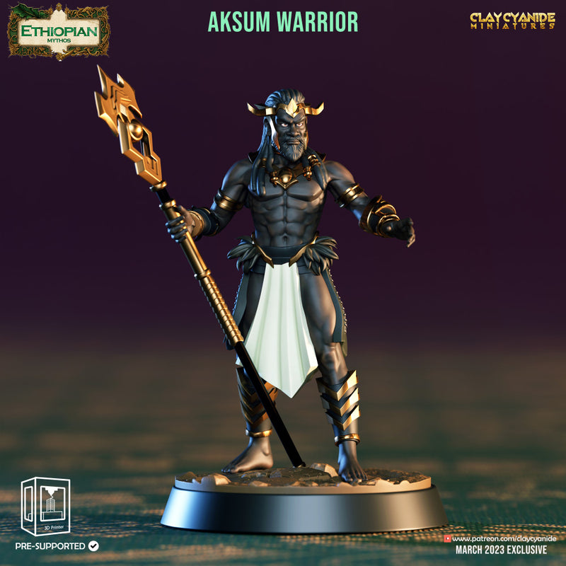 Aksum Warriors - Only-Games