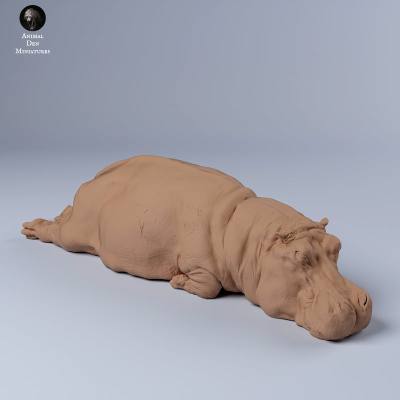 Hippo Sleep 1/43 - Only-Games