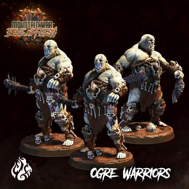 Ogre Warriors - Only-Games