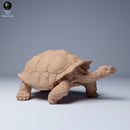 Galapagos Giant Tortoise 1/87 - Only-Games