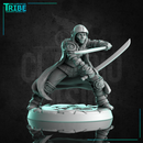 (0250) Female human elf tiefling half-orc firbolg assassin rogue thief with two swords or knives - Only-Games