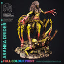 Aranea The Drider - Only-Games