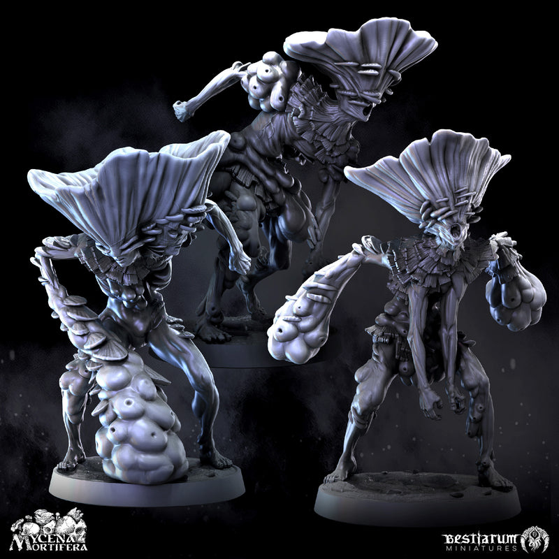 The Fungal Undead: Bundle