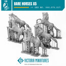 Bare Horses x5