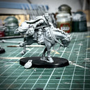 Rough Rider Outrider Arms
