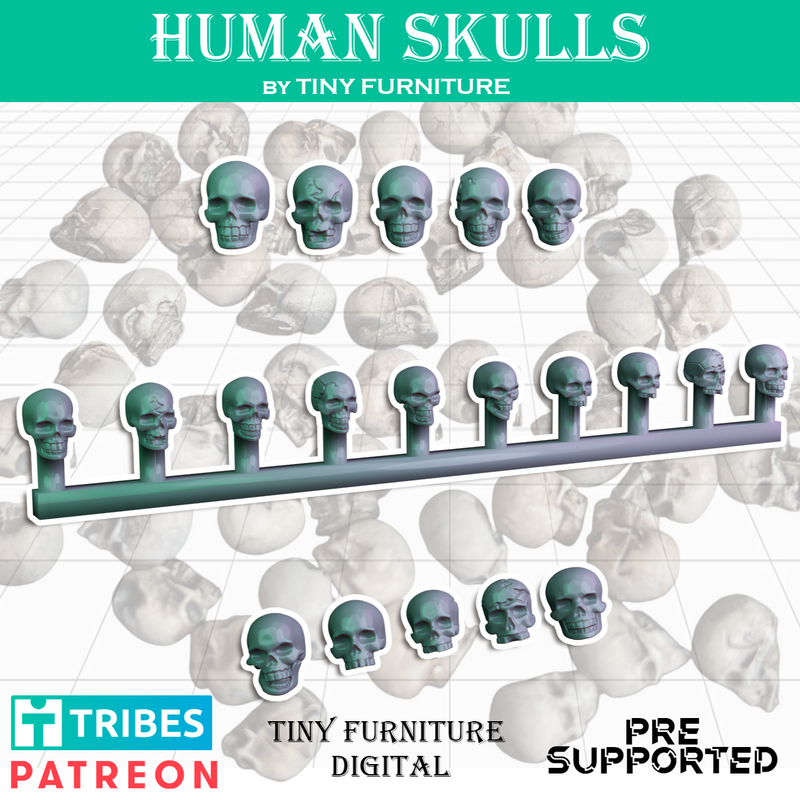 Human Skulls - Only-Games