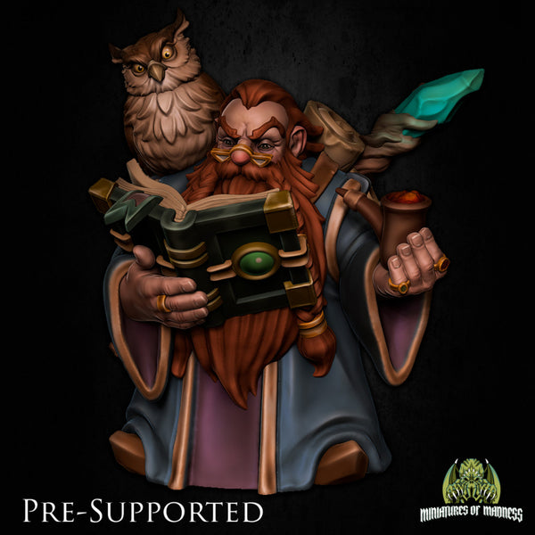 Razak Onyxtoe [PRE-SUPPORTED] Dwarf Wizard Owl Mage - Only-Games