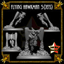 Flying Hawkman 5 (Jets) - Only-Games