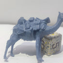 Pack Camel - Only-Games