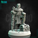 (0207) Male human tiefling firbolg half-orc elf brigand warrior with a sword - Only-Games