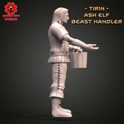 Tirin - Ash Elf Beast Handler - Only-Games