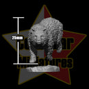 Into the Wild - 4 Bears - Only-Games