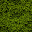 Coarse Flock - Rainforest Canopy - Only-Games