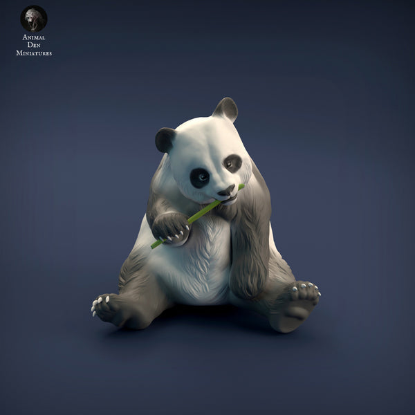 Giant Panda 1/43 - Only-Games