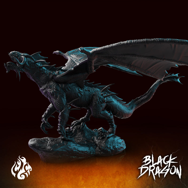 Black Dragon - Only-Games