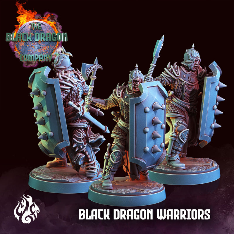 Black Dragon Warriors - Only-Games