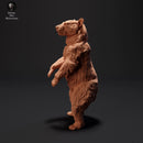 Black Bear Standing 1/43 - Only-Games