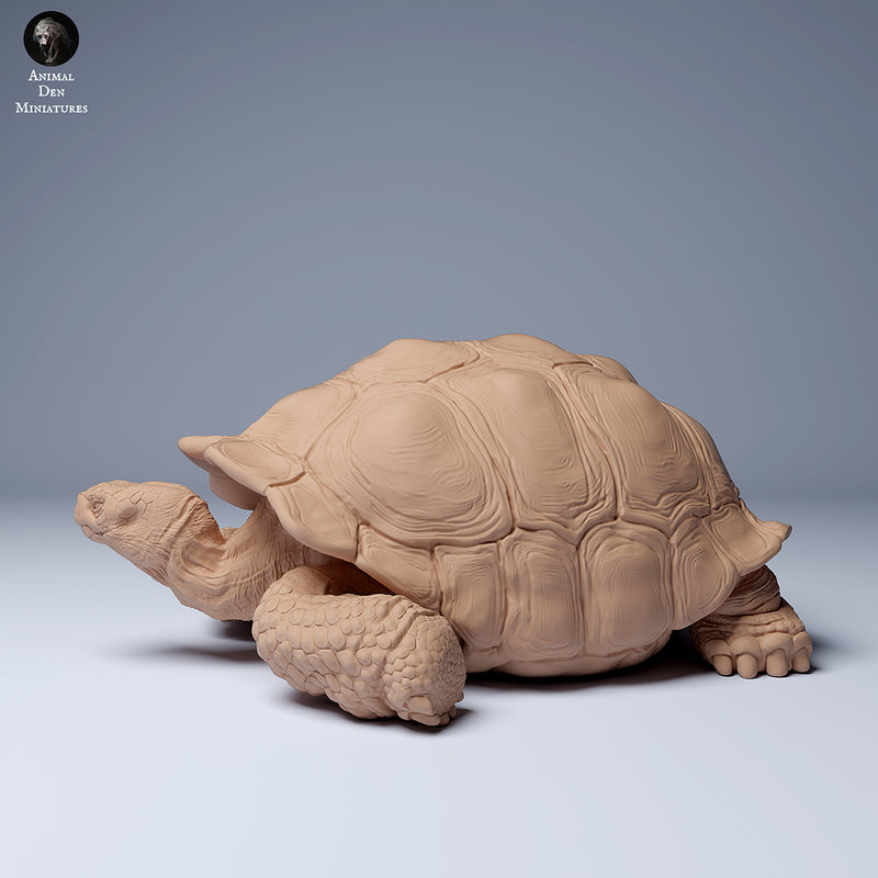 Galapagos Giant Tortoise Lying 1/87