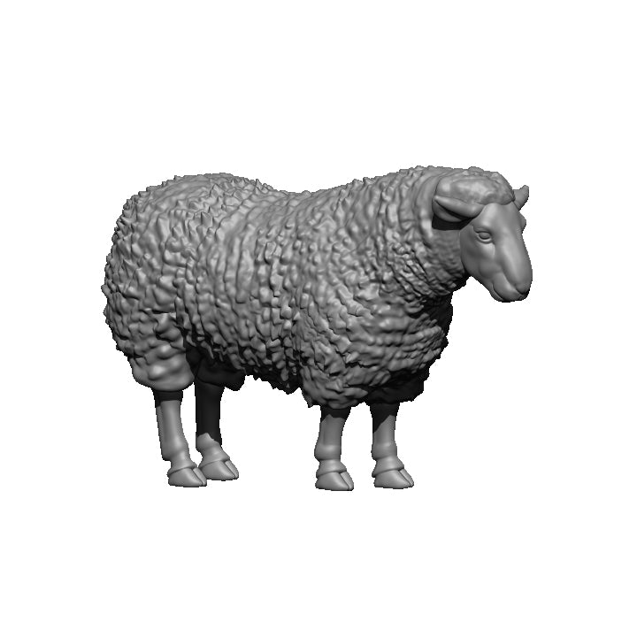 Set of 4 Sheep - Only-Games