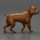 gangster homie in cap and short with his pitbull dog on the street - Only-Games