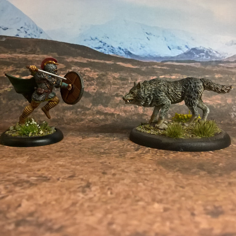 Dire Wolf Pack - Only-Games