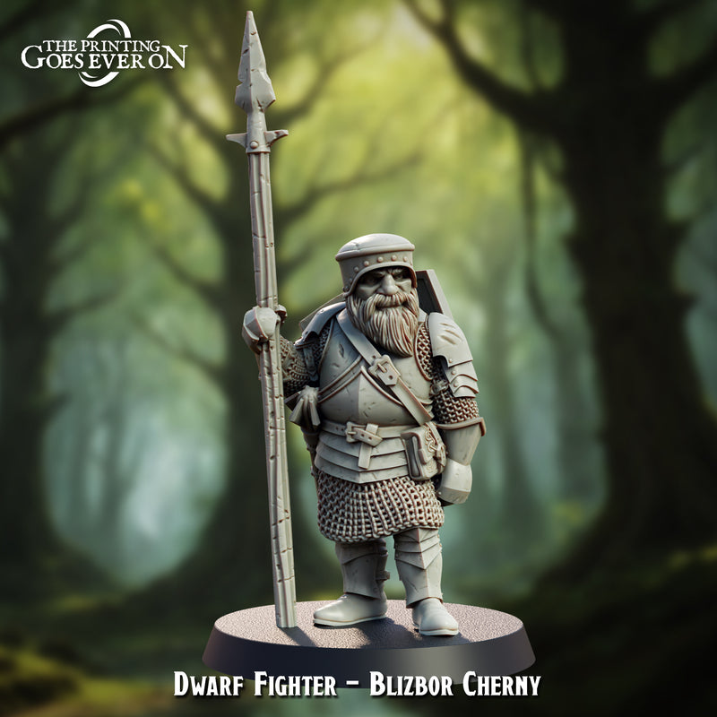 Dwarf Fighter - Blizbor Cherny - Only-Games