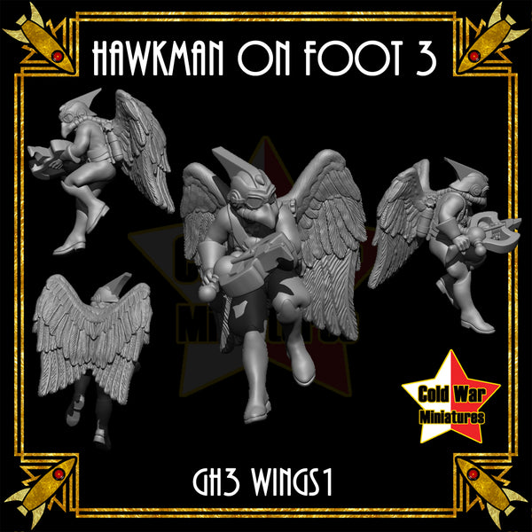 Hawkman on Foot 3 (wings) - Only-Games