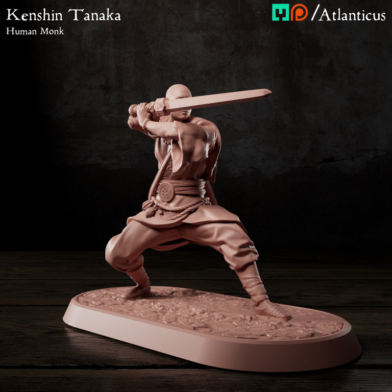 Kenshin Tanaka - Sword Guarding - Only-Games